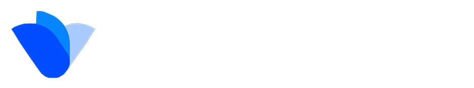 Logo van soest webdesign